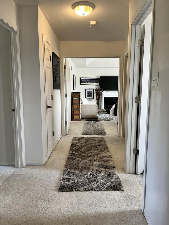 22019 Brook Ave, Richton Park, IL 60471 - photo 8