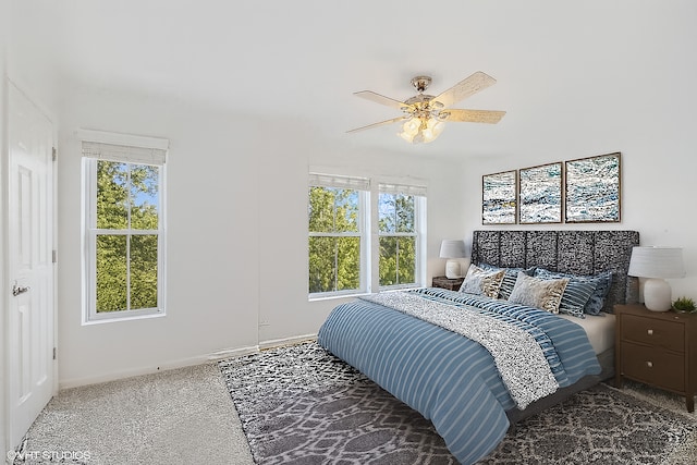 208 W Hyde St, Arlington Heights, IL 60005 - bedroom featuring carpet flooring and ceiling fan