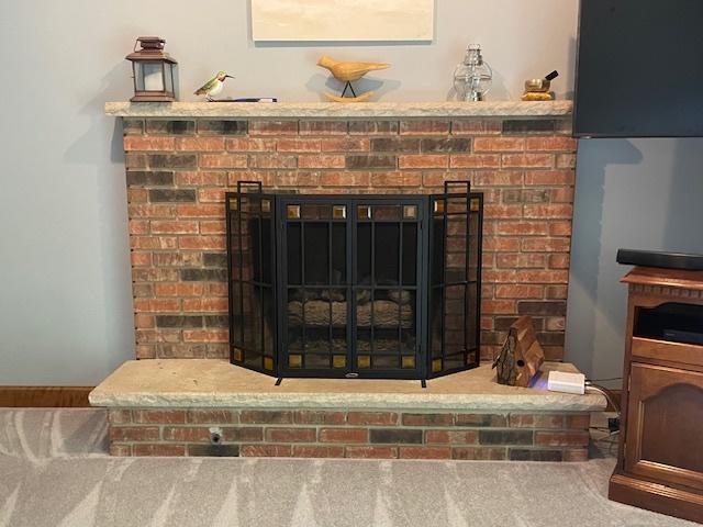 10S305 Havens Dr, Downers Grove, IL 60516 - detailed view of a fireplace and carpet