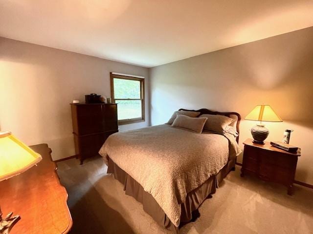10S305 Havens Dr, Downers Grove, IL 60516 - bedroom with carpet and baseboards