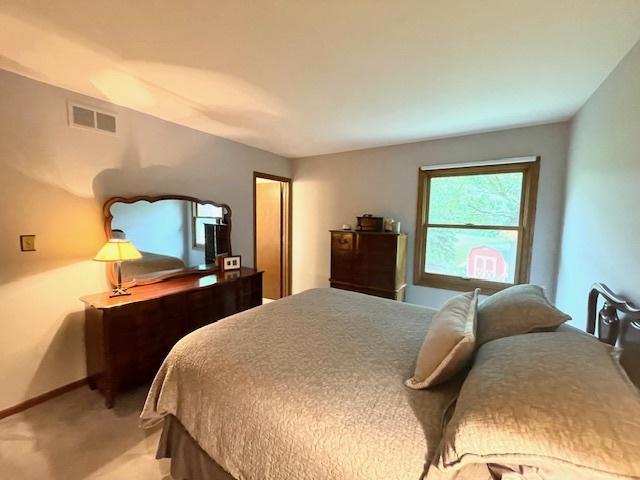 10S305 Havens Dr, Downers Grove, IL 60516 - bedroom with light carpet and baseboards