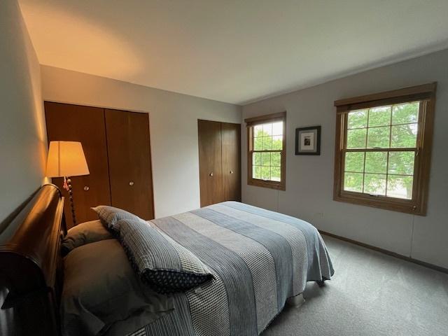 10S305 Havens Dr, Downers Grove, IL 60516 - bedroom with light carpet and multiple closets