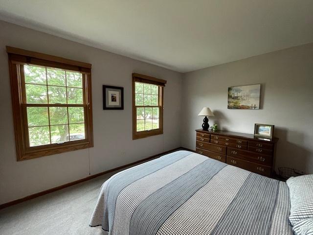 10S305 Havens Dr, Downers Grove, IL 60516 - bedroom featuring carpet floors and baseboards