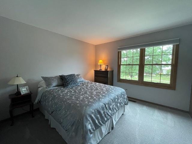 10S305 Havens Dr, Downers Grove, IL 60516 - bedroom with carpet floors and baseboards