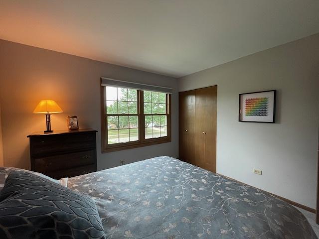 10S305 Havens Dr, Downers Grove, IL 60516 - bedroom with a closet and carpet