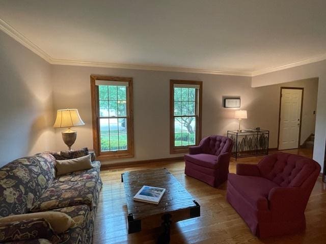 10S305 Havens Dr, Downers Grove, IL 60516 - living area with plenty of natural light, crown molding, and light wood-style flooring