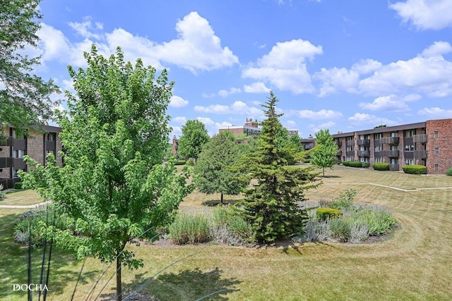 1423 Woodbridge Rd Unit 2C, Joliet, IL 60436 - view of yard