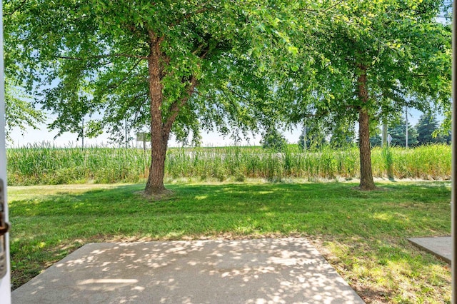 23 Fetzer Dr Unit 3, Bloomington, IL 61704 - view of green lawn