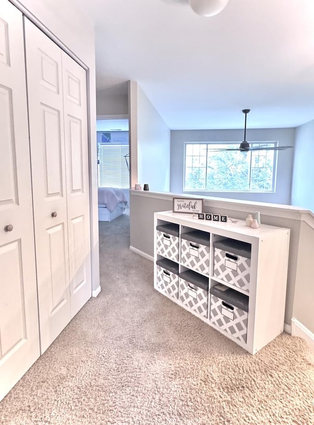 3125 Anton Dr Unit 3125, Aurora, IL 60504 - hallway with carpet