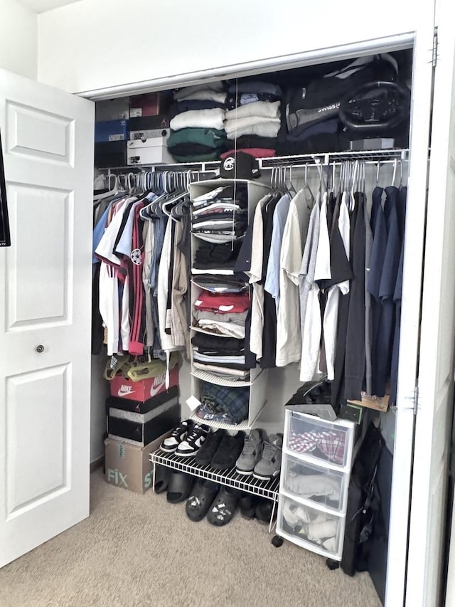 3125 Anton Dr Unit 3125, Aurora, IL 60504 - view of closet