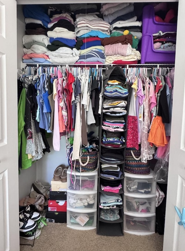 3125 Anton Dr Unit 3125, Aurora, IL 60504 - view of closet