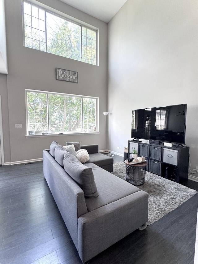 3125 Anton Dr Unit 3125, Aurora, IL 60504 - living area featuring a high ceiling, healthy amount of natural light, and wood finished floors