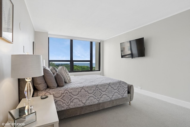 5100 N Marine Dr Unit 11M, Chicago, IL 60640 - photo 18