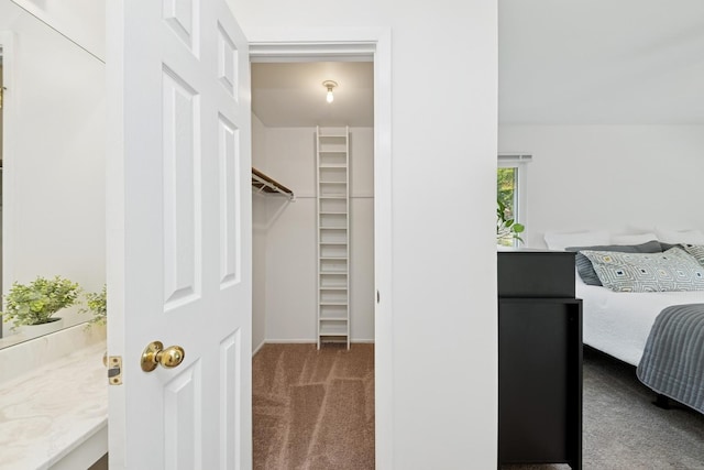 31 Waterbury Ln Unit O1, Schaumburg, IL 60193 - photo 15