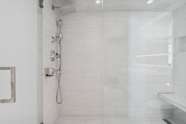 161 E Chicago Ave Unit 31F, Chicago, IL 60611 - bathroom featuring a stall shower