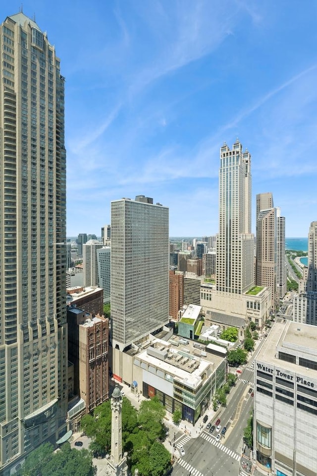161 E Chicago Ave Unit 31F, Chicago, IL 60611 - city view