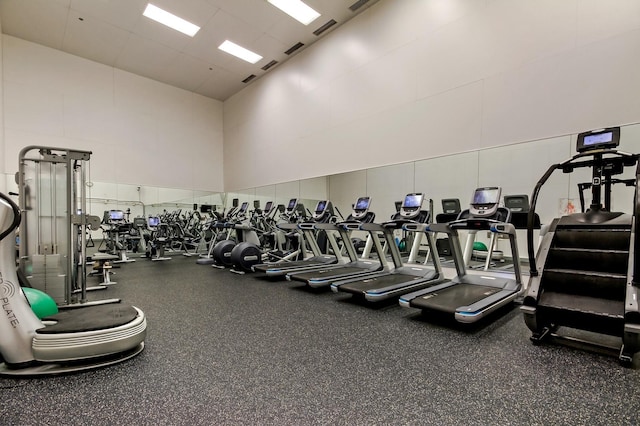 161 E Chicago Ave Unit 31F, Chicago, IL 60611 - exercise room featuring a towering ceiling