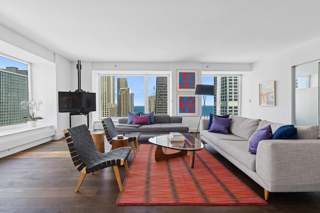 161 E Chicago Ave Unit 31F, Chicago, IL 60611 - living area with wood finished floors and healthy amount of natural light