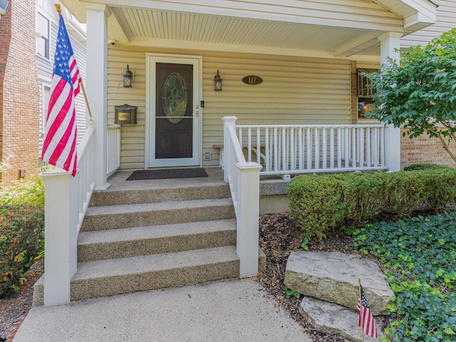 117 N Walnut St, Elmhurst, IL 60126 - photo 2