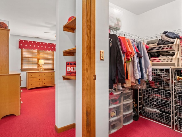 117 N Walnut St, Elmhurst, IL 60126 - photo 19