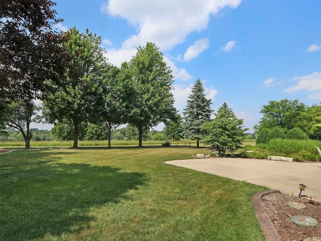 9804 Palmer Dr, Lakewood, IL 60014 - view of grassy yard