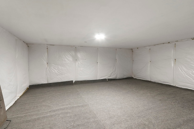 9804 Palmer Dr, Lakewood, IL 60014 - spare room with carpet floors