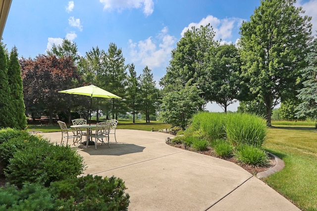 9804 Palmer Dr, Lakewood, IL 60014 - view of patio