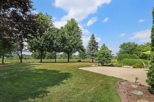 9804 Palmer Dr, Lakewood, IL 60014 - view of grassy yard