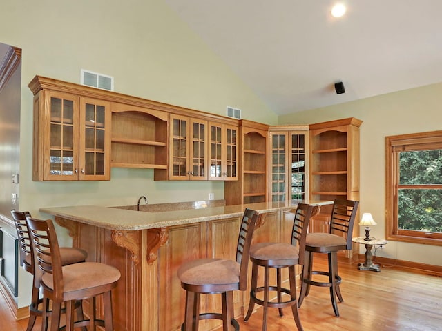 9804 Palmer Dr, Lakewood, IL 60014 - indoor wet bar featuring high vaulted ceiling and light wood finished floors
