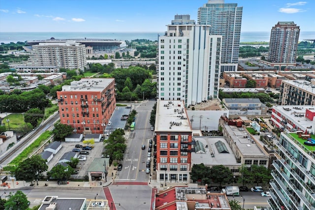1601 S Michigan Ave Unit 108, Chicago, IL 60616 - photo 27