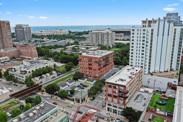 1601 S Michigan Ave Unit 108, Chicago, IL 60616 - photo 28