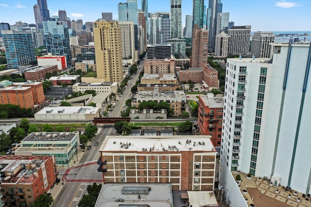 1601 S Michigan Ave Unit 108, Chicago, IL 60616 - photo 29