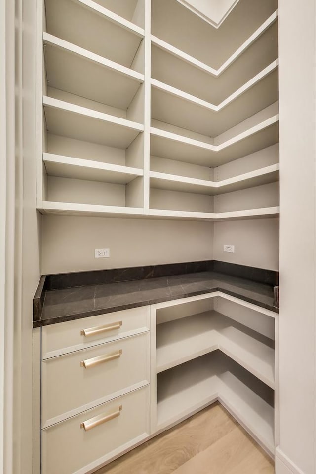 1437 Ashland Ave, River Forest, IL 60305 - view of storage area