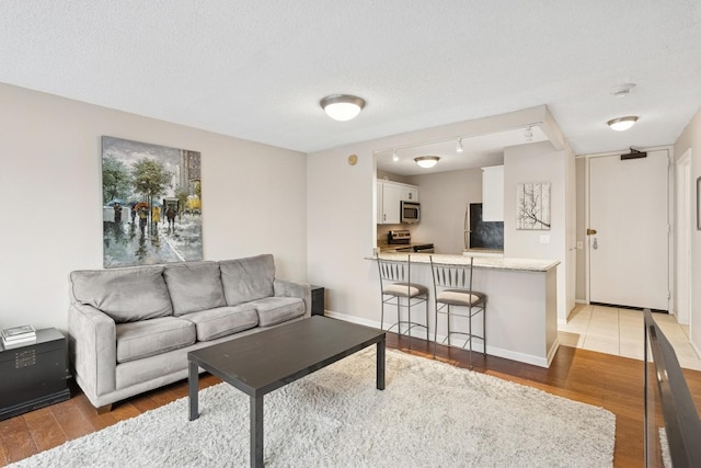 30 E Huron St Unit 2108, Chicago, IL 60611 - living room with light wood finished floors and a textured ceiling