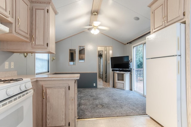 59 Fossil Ridge Ct, Wilmington, IL 60481 - kitchen featuring white appliances, light brown cabinets, a peninsula, vaulted ceiling, and ceiling fan