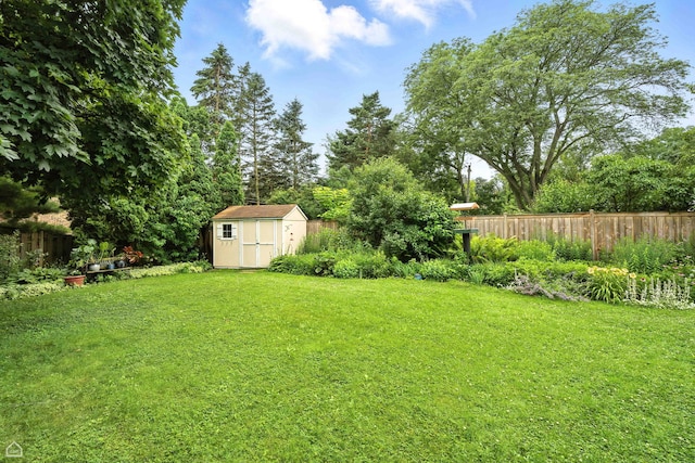 2907 Orchard Ave, Wilmette, IL 60091 - view of yard with a storage unit