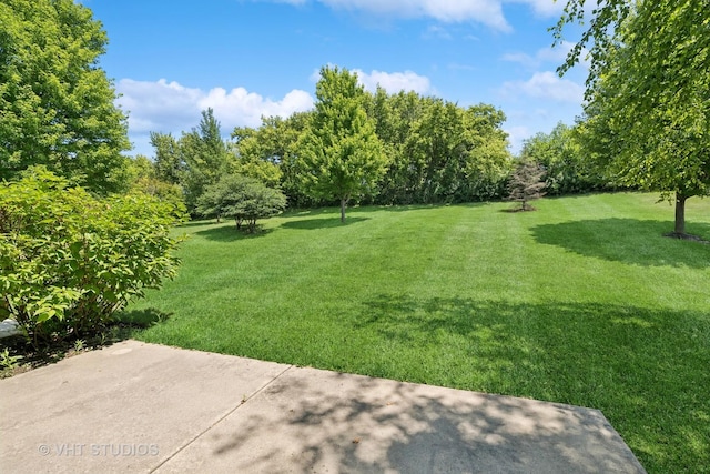 6556 Marble Ln, Carpentersville, IL 60110 - photo 15