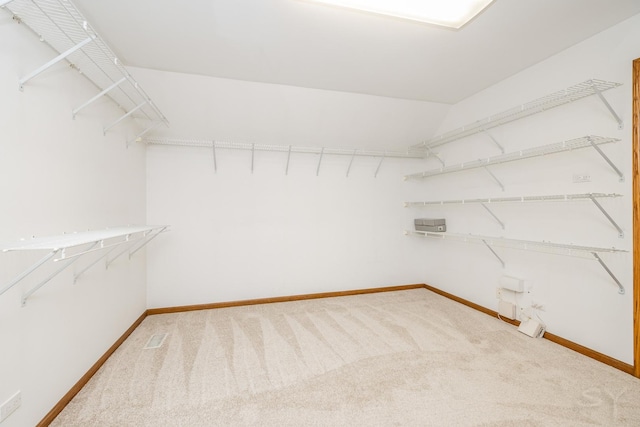 771 E Hickory Ave, Addison, IL 60101 - walk in closet featuring carpet flooring and lofted ceiling