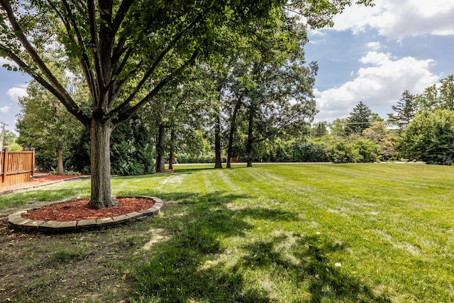 771 E Hickory Ave, Addison, IL 60101 - view of yard