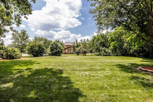 771 E Hickory Ave, Addison, IL 60101 - view of grassy yard