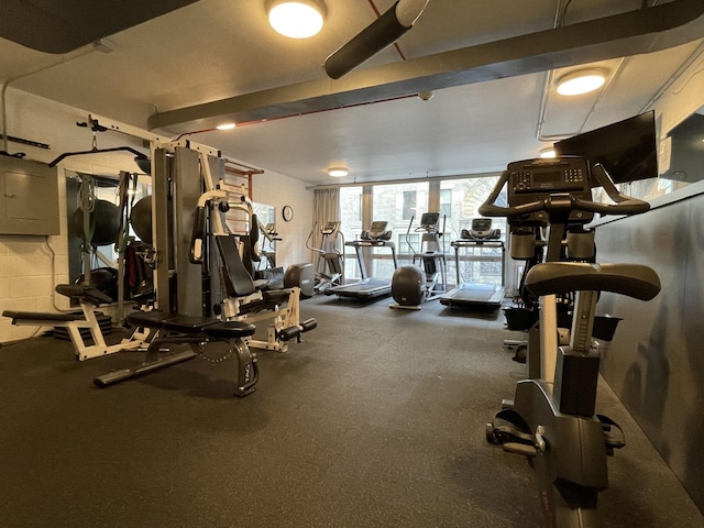 880 N Lake Shore Dr Unit 6F, Chicago, IL 60611 - view of exercise room