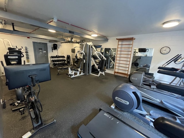 880 N Lake Shore Dr Unit 6F, Chicago, IL 60611 - exercise room with concrete block wall