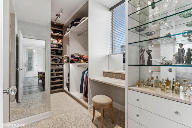 1040 N Lake Shore Dr Unit 26B, Chicago, IL 60611 - view of walk in closet