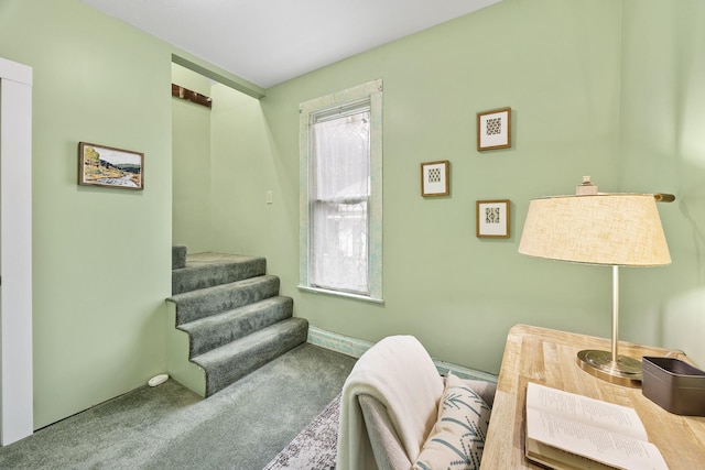 1006 N Livingston St, Bloomington, IL 61701 - photo 19