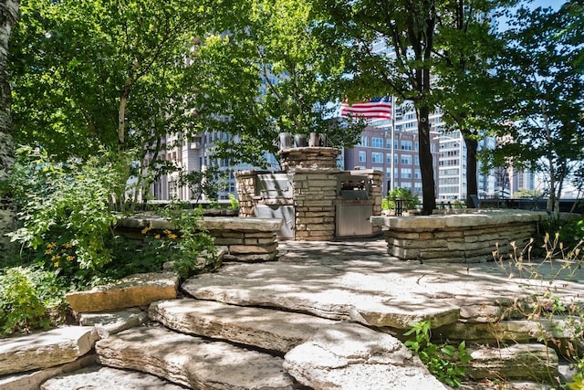 505 N Lake Shore Dr Unit 5910-5911, Chicago, IL 60611 - view of community