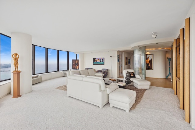505 N Lake Shore Dr Unit 5910-5911, Chicago, IL 60611 - carpeted living room with plenty of natural light, an AC wall unit, a water view, and ornate columns