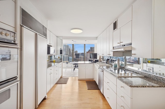505 N Lake Shore Dr Unit 5910-5911, Chicago, IL 60611 - kitchen with paneled fridge, electric cooktop, light wood-style floors, under cabinet range hood, and white cabinetry
