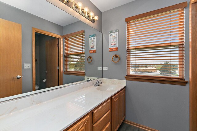 244 Prescott Ave, Elgin, IL 60124 - bathroom featuring vanity and plenty of natural light