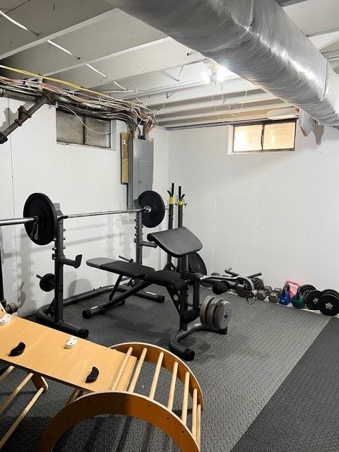 1413 Eustace Dr, Dixon, IL 61021 - exercise area with carpet flooring and electric panel