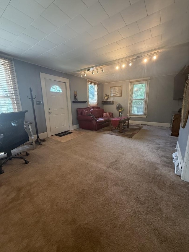 106 E Poplar St, Normal, IL 61761 - living area with track lighting and carpet flooring